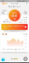 Screenshot_2025-07-29-23-28-28-936_cc.issin.sbm
